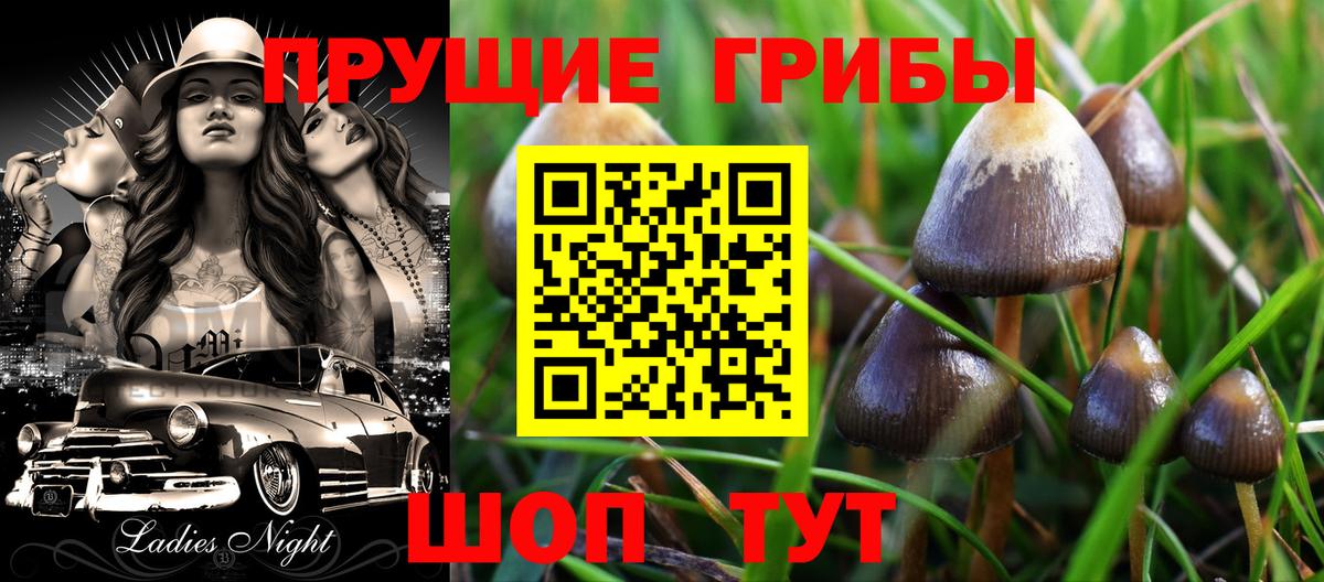 Махачкала  Псилоцибиновые грибы Psilocybe  Галлюциногенные грибы прущие грибы  Вход с VPN 