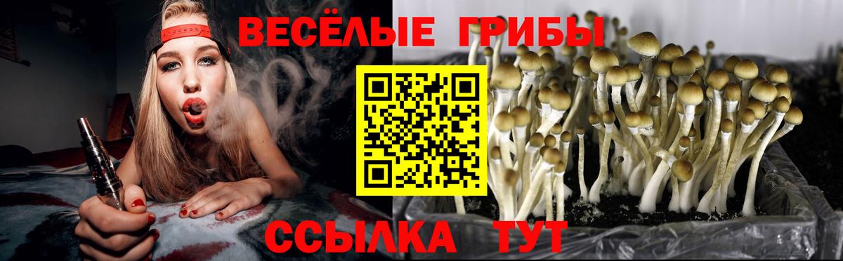 Галлюциногенные грибы Magic Shrooms Махачкала
